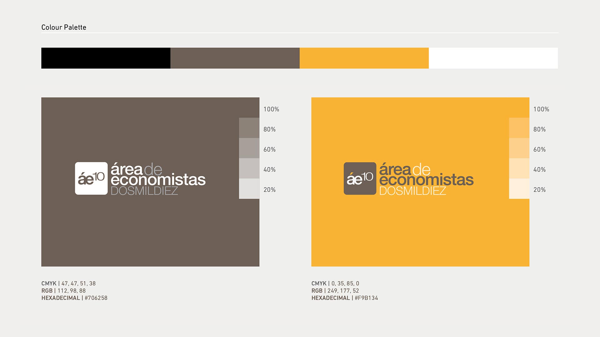 Página de la Paleta de Color del Brandbook de Área Economistas 2010